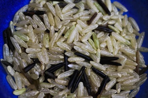 Makro Closeup Wild Natural Rice White Black Grains Blue China — Stock Photo, Image