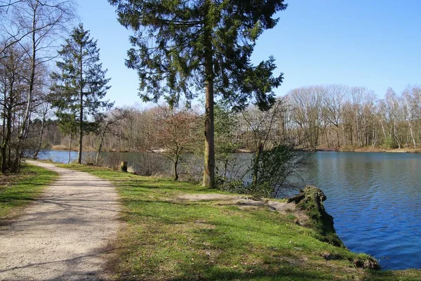 Vista Caminho Vazio Longo Lago Com Árvores Nuas Primavera Brueggen — Fotografia de Stock