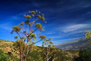 İspanya 'nın Endülüs eyaletinde, Sierra Nevada' da mavi gökyüzünün altındaki bir dağın tepesinden vadiye manzara