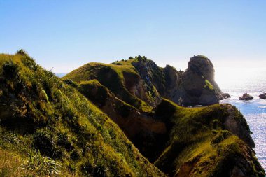 Okyanustaki engebeli yeşil taştan sahile bakın - Christchurch yakınlarındaki Yeni Zelanda, Güney Adası, Doğu Yakası