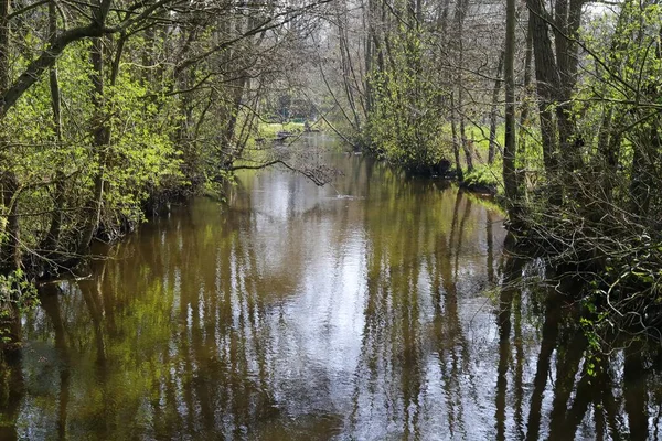 Widok Gołymi Drzewami Rzekę Schwalm Wiosną Niemcy Brueggen — Zdjęcie stockowe