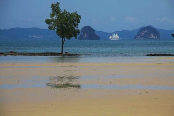 Low Tide Thailands Coastline Rock Formation Tree Sailing Ship Background — Stock Photo, Image