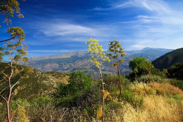 İspanya 'nın Endülüs eyaletinde, Sierra Nevada' da mavi gökyüzünün altındaki bir dağın tepesinden vadiye manzara