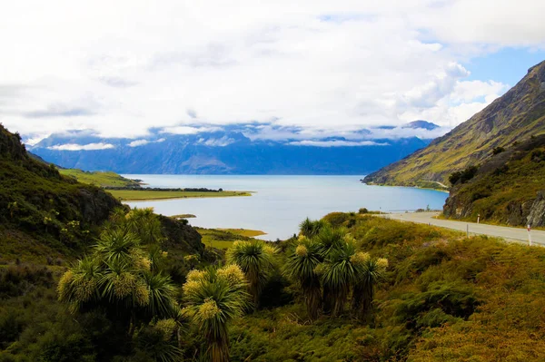高い険しい山々の背景を持つ湖で緑の草や植物の上に表示します 深い雲の山のピークにぶら下がっている プカキ湖 ニュージーランド — ストック写真