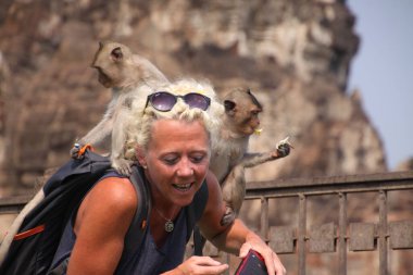 LOPBURI, THAILAND - 9 HAZİRAN 2019: Güneş gözlüğünü çalan maymunların saldırısına uğrayan Turist Kadın