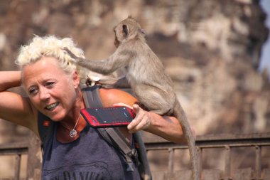 LOPBURI, THAILAND - 9 HAZİRAN 2019: Güneş gözlüğünü çalan maymunların saldırısına uğrayan Turist Kadın