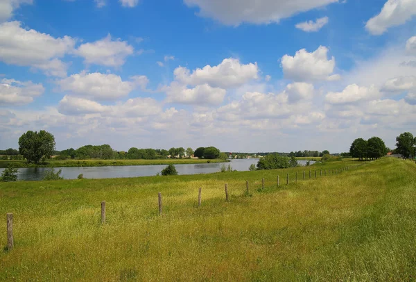 Vista Sobre Prado Verde Paisagem Rural Holandesa Rio Maas Entre — Fotografia de Stock