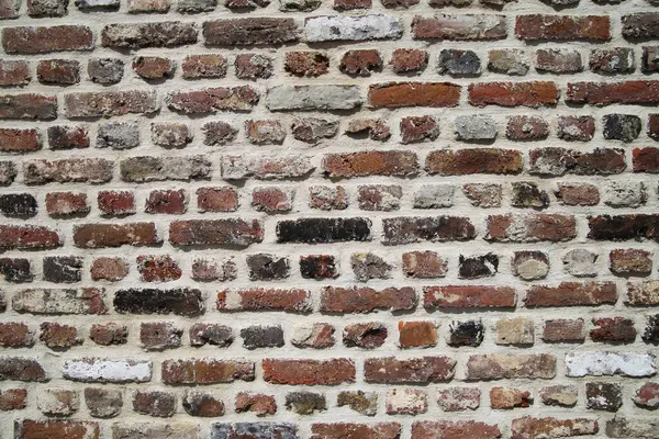 Full Frame Close House Brick Stones Cement Backgrounds — Stock Photo, Image