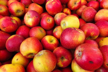 Sarı elma kaynağından oluşan tam çerçeve.