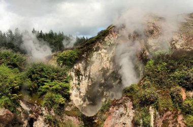 Orakei Korako gizli jeotermal vadisi: Buharlı kayalara bakın (Fumaroles)