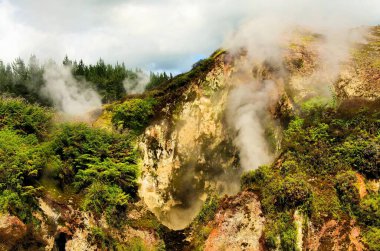 Orakei Korako gizli jeotermal vadisi: Buharlı kayalara bakın (Fumaroles)
