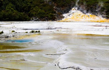 Orakei Korako gizli jeotermal vadi - Emerald Terrace: Açık mavi buharlı sıcak havuzu ile beyaz sade sinter terasında görünüm