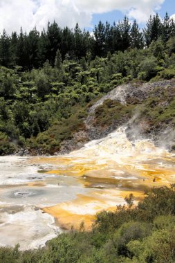 Orakei Korako gizli jeotermal vadisi - Zümrüt terası, Yeni Zelanda: Sarı ve beyaz mikrobik paspaslarla kaplı renkli gökkuşağı sinter terasına bakın