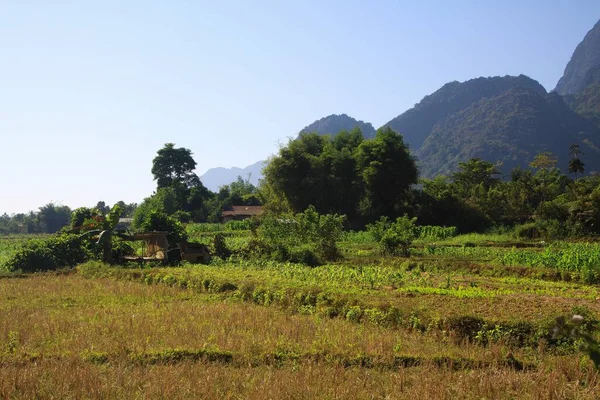 Rural Landscape Crop Field Karst Mountains Vang Vieng Laos — Stock Photo, Image