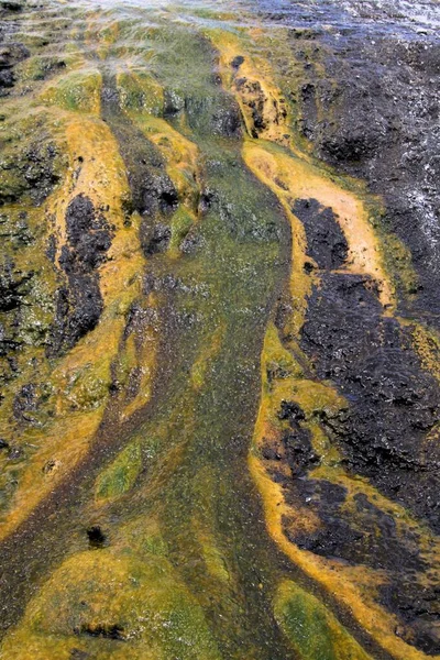 Orakei Korako Valle Geotérmico Oculto Terraza Esmeralda Nueva Zelanda Primer — Foto de Stock