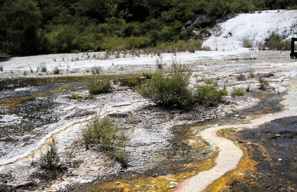 Orakei Korako Valle Geotérmico Oculto Terraza Esmeralda Primer Plano Colorida — Foto de Stock