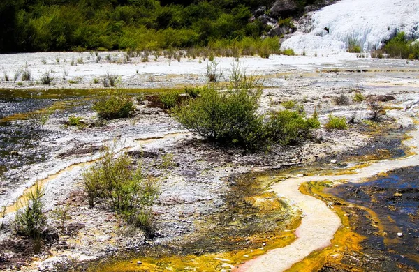 Orakei Korako Valle Geotérmico Oculto Terraza Esmeralda Primer Plano Colorida — Foto de Stock