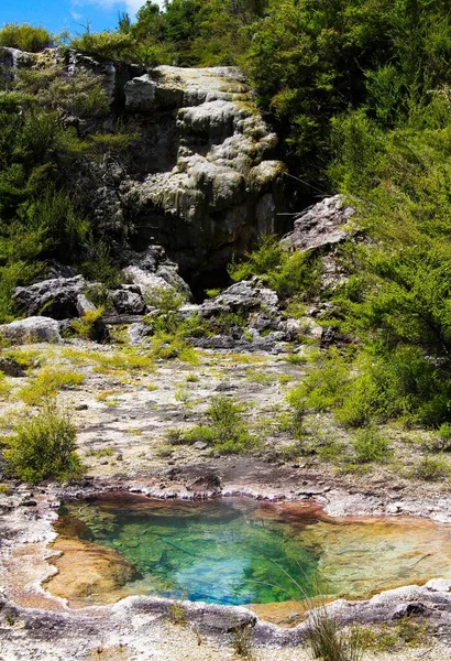 Orakei Korako Valle Geotermica Nascosta Terrazza Color Smeraldo Primo Piano — Foto Stock