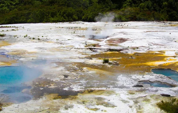 オラケイ コラコ隠された地熱谷 エメラルドテラス 黄色と白の微生物マットと蒸し温泉プールで覆われたカラフルな虹のテラスの終わり — ストック写真