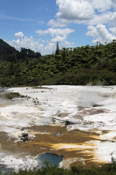 Orakei Korako Valle Geotérmico Oculto Terraza Esmeralda Primer Plano Colorida — Foto de Stock