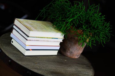 VİERSEN, ALMANY - 11 Mart. 2019: Kırmızı okuma gözlüklü ve gece vakti antika yuvarlak ahşap masadaki seyahat kitapları yığınıyla açık bir kitap görüntüsü. Sulu yeşil bitki arkaplanı.