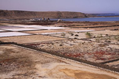 Lanzarote - Salinas de Janubio: Atlantik okyanusundan tuz çıkarmak için suni havuzların üzerine panoramik manzara