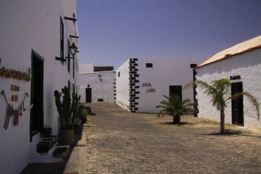 TEGUISE, LANZAROTE - 3 Haziran. 2019: Ağaçlar ve beyaz parlak evlerle cadde manzarası
