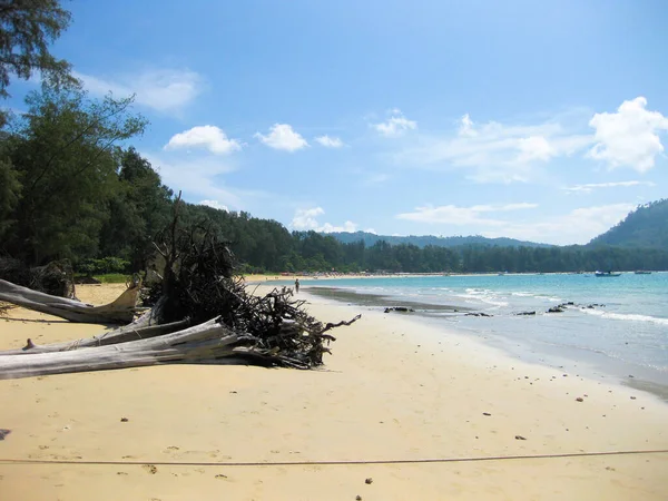 Driftwood Blue Sky Nai Yang Beach Airport Phuket Thailand — Stock Photo, Image