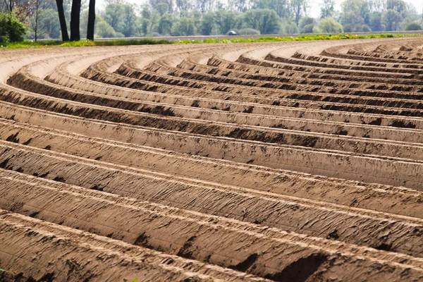 Vue Sur Les Terres Cultivées Labourées Avec Sillons Courbes Symétriques — Photo