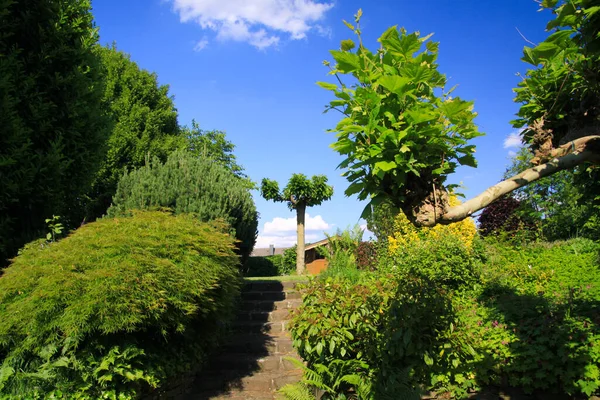 Vista Ángulo Bajo Escalones Piedra Jardín Alemán Con Dos Niveles —  Fotos de Stock