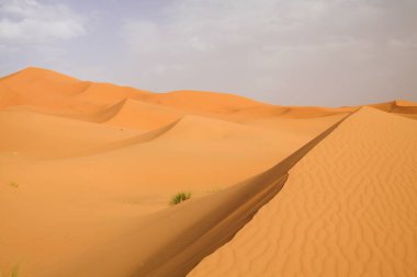 Erg Chebbi, Fas yakınlarındaki Sahra Çölü 'nde ıssız kum tepeleri kuşağı.