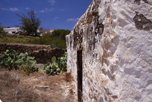 Betancuria Fuerteventura Juin 2019年 在蓝天的映衬下 沿着白色的旧农舍的墙壁观赏仙人掌花园 — 图库照片