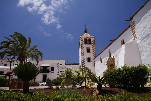 Betancuria Fuerteventura Juin 2019 Blick Über Garten Mit Palmen Auf — Stockfoto