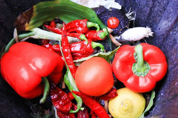 Avfall Färska Livsmedel Närbild Färska Röda Grönsaker Paprika Tomat Chilis — Stockfoto