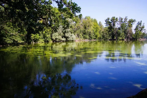 Yazın Alman Gölü 'ne bakın - Viersen, Nettetal, Krickenbecker