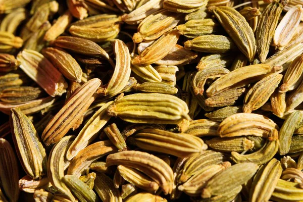 Macro Close Pile Fennel Seeds Bright Sun Light — Stock Photo, Image