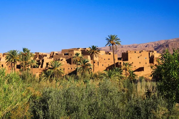 緑の植物やヤシの木の上に緑の空に対する隔離された粘土の家の村で見る モロッコのトドラ渓谷のオアシスのTinghir Tinerhir — ストック写真