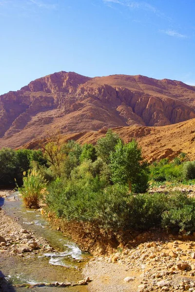 与蓝天相对照的石灰岩和粘土山沙漠中孤立的小河绿色绿洲谷 摩洛哥廷希尔附近的托德加河流域 — 图库照片