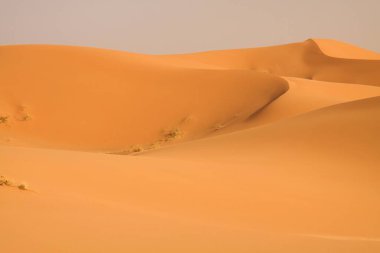 Erg Chebbi, Fas yakınlarındaki Sahra Çölü 'nde ıssız kum tepeleri kuşağı.