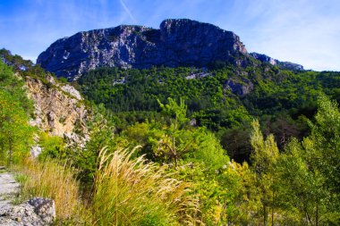 Dağın tepesindeki yeşil vadiyi mavi gökyüzüne karşı görmek - Verdon Boğazı, Provence, Fransa
