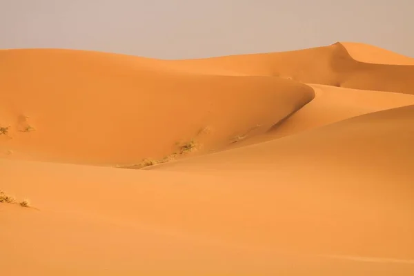 Magányos Homokdűnék Öve Szahara Sivatagban Erg Chebbi Közelében Marokkóban — Stock Fotó