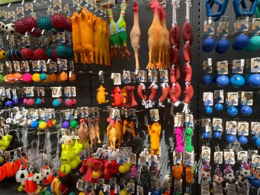 Roermond, Hollanda - 9 Temmuz. 2020: Evcil hayvanlar için çeşitli oyuncaklarla evcil hayvan dükkanındaki duvara bakın