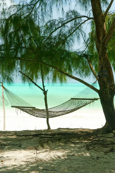 カリブ海の島の木々の上に日陰にぶら下がっている孤立編組空のビーチハンモック 熱帯夏の波と気分 ターコイズブルーの海 白い砂 青い空 — ストック写真
