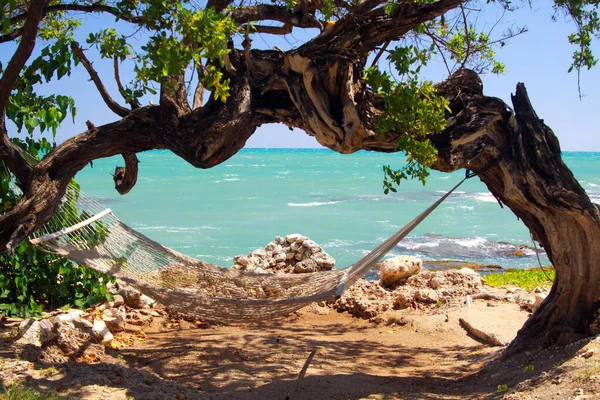 カリブ海の島で1本の曲がった木の上に日陰にぶら下がっている孤立編組空のビーチハンモック 熱帯夏の波と気分 ターコイズブルーの海と波青い空 — ストック写真