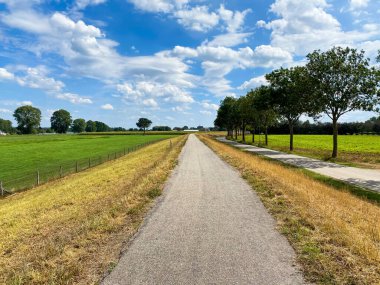 Hollanda 'nın Nijmegen kenti yakınlarındaki Maas nehri boyunca yer alan tipik kırsal arazi manzarası