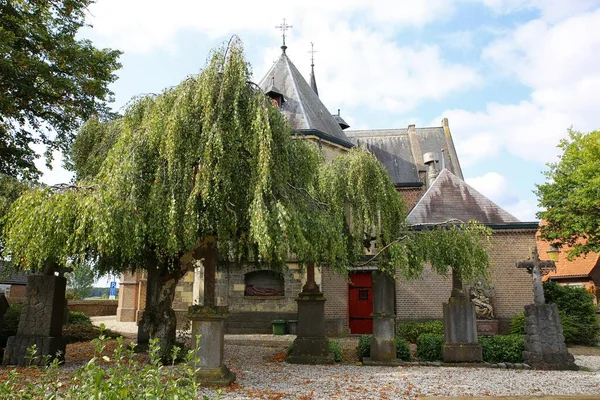 Blick Auf Holländische Abteikirche Mit Bäumen Und Trauerweide Sommer Mook — Stockfoto