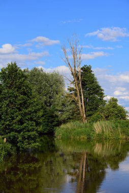 Bavyera 'da portre biçiminde küçük bir göl üzerinde ağaçların ve çalıların olduğu sakin bir manzara.