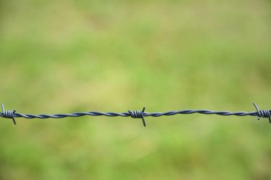 Resim boyunca uzanan bir parça dikenli tel ile metin için alan olan yeşil arkaplan