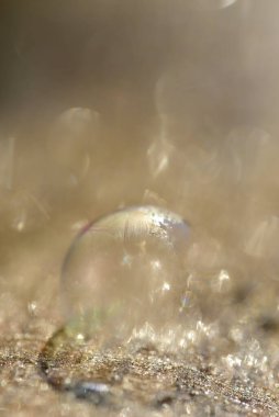 Parlak güneş ışığında romantik donmuş bir sabun köpüğüyle arka planda ışık ışınları metin için yer ile yansıtılır.