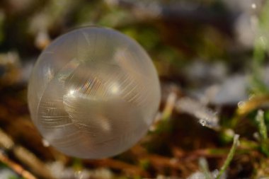 Parlak güneş ışığında romantik donmuş bir sabun köpüğüyle arka planda ışık ışınları metin için yer ile yansıtılır.